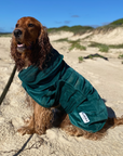 Dog Drying Robe