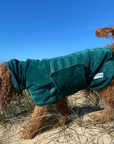 Dog Drying Robe