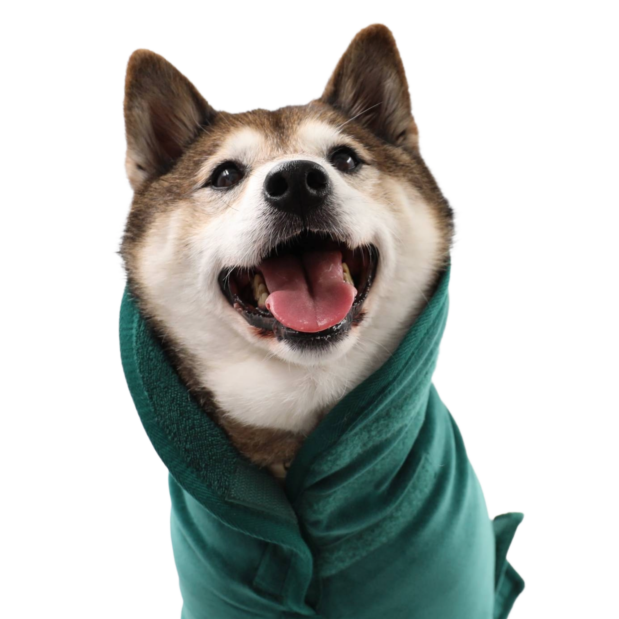 Dog Drying Robe