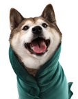 Dog Drying Robe